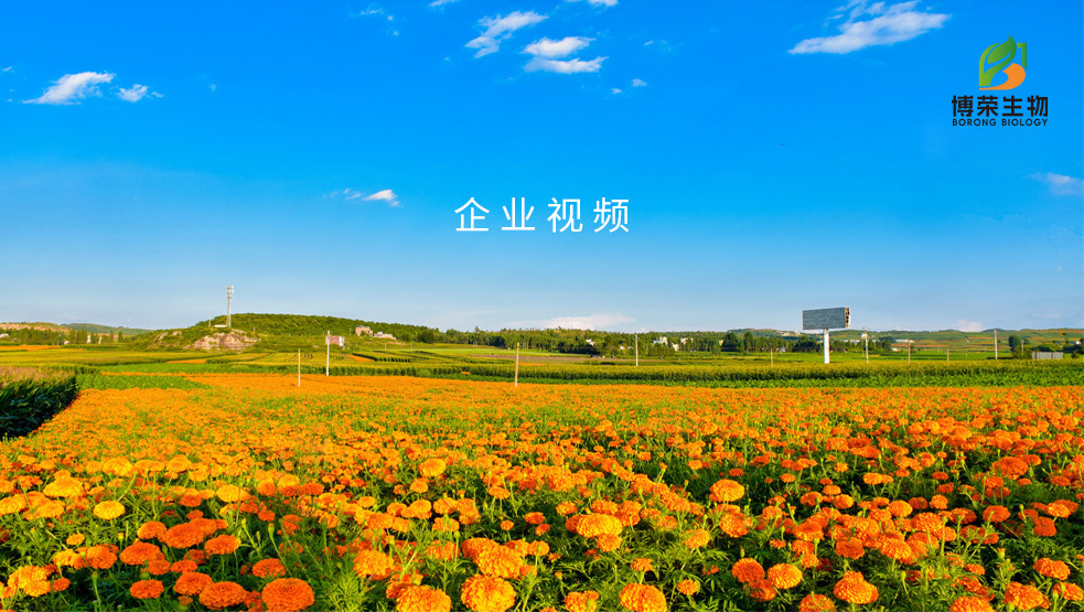 视频标题 视频标题