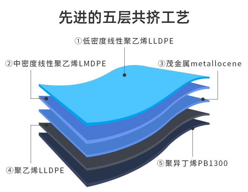 皖双宇