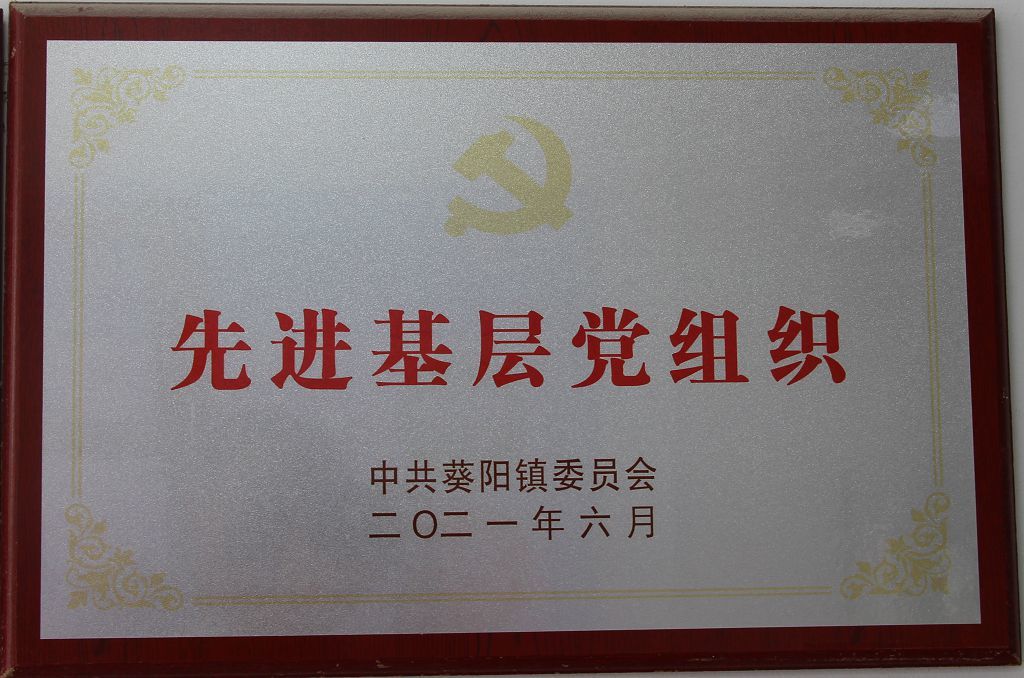 先進(jìn)基層黨組織