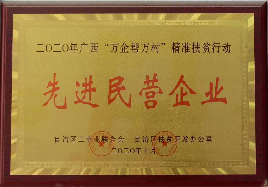 先進(jìn)民營(yíng)企業(yè)