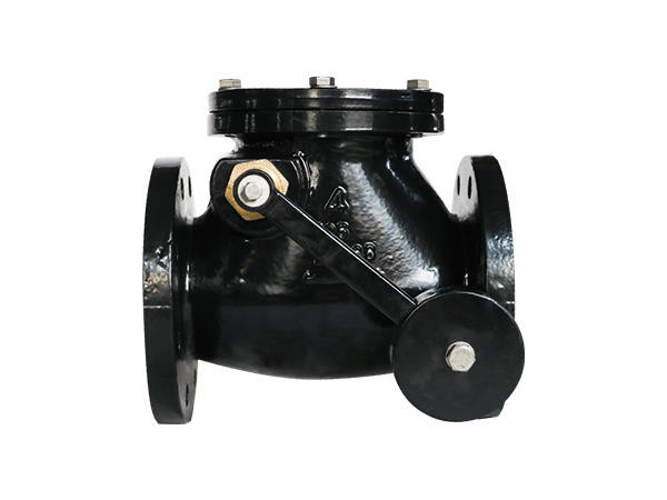 Class125,Swing Check Valve with Lever and Weight