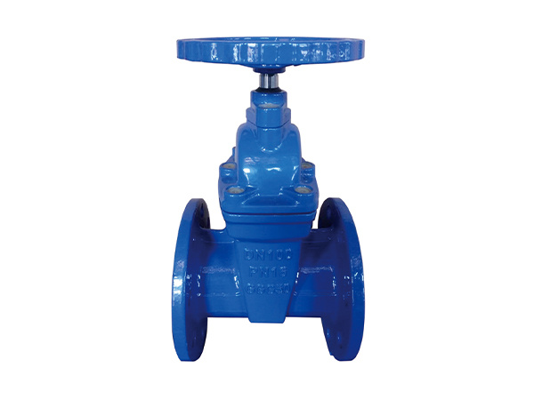 NRS Gate Valves GV-02