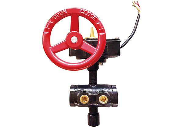Backflow grooved butterfly valve