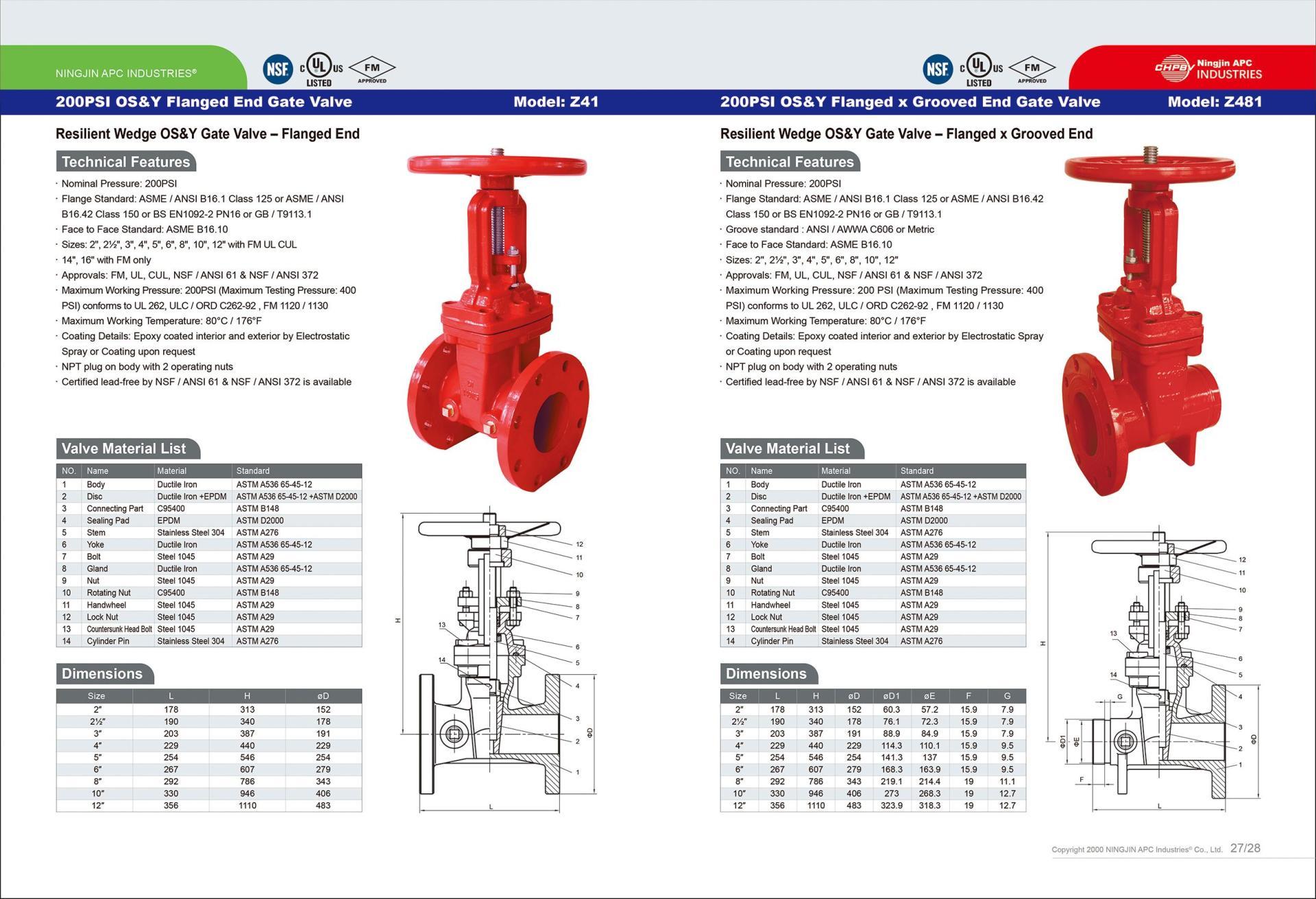 200 PSI OSY FLANGE GATE