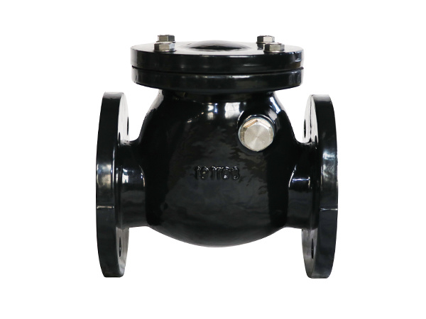 Class250,Swing Check Valve