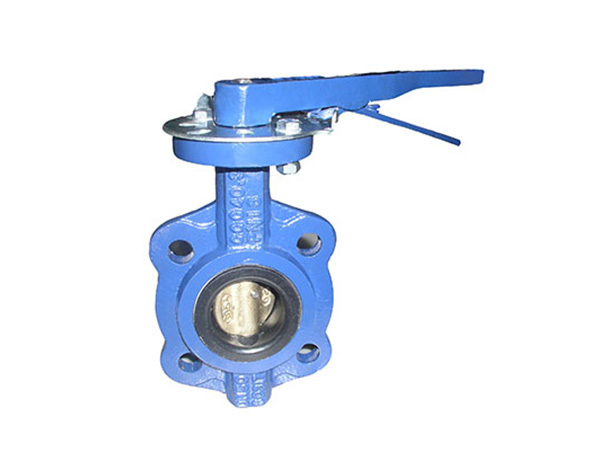 A-typed center line butterfly valve