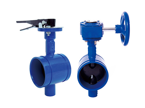 Groove Type Butterfly Valve