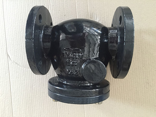 Class125  Non-return swing check valve