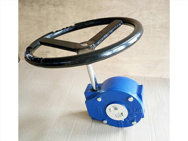 Worm gearbox with wheel 