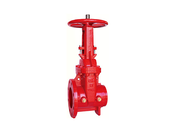 300PSI Rising Gate Valve,Flanged and Grooved Type Z481-300