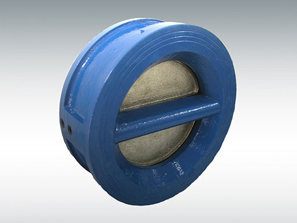 Rubber-coated check valve