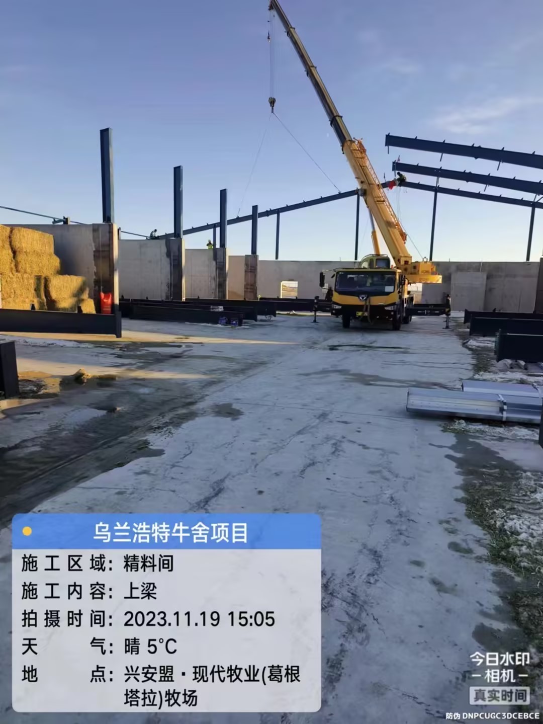 烏蘭浩特牛社項目