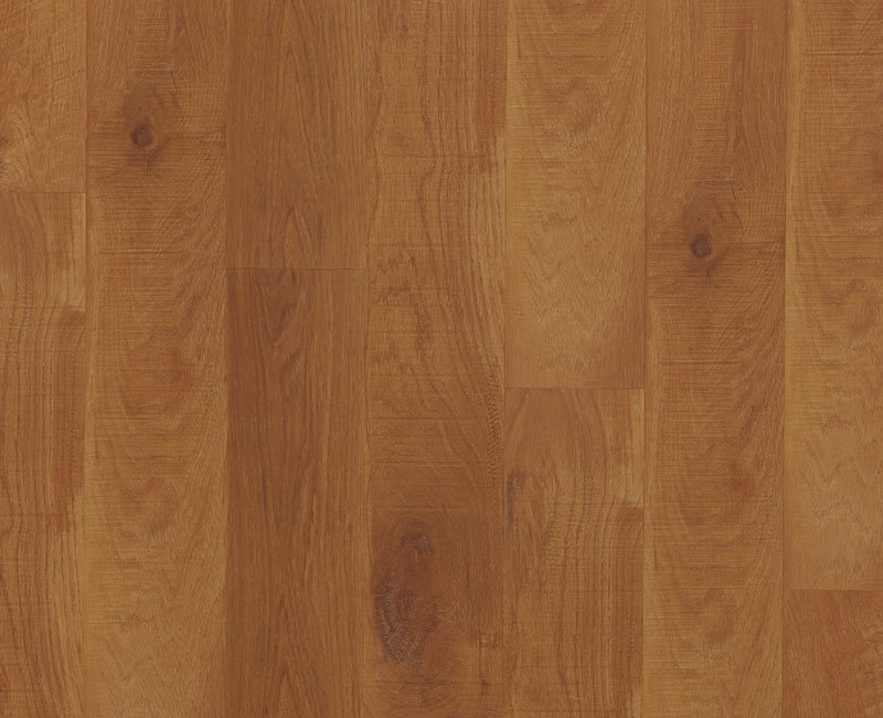 IP50218