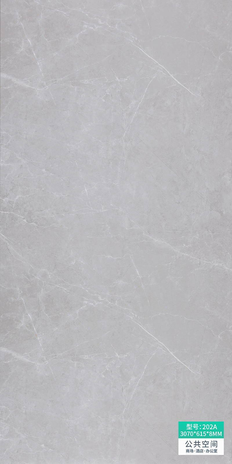 202A