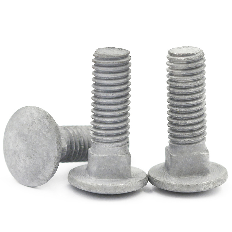 High Strength Grade 4.8 8.8 10.9 12.9 Hot Dip Galvanized HDG DIN603 Carriage Bolts