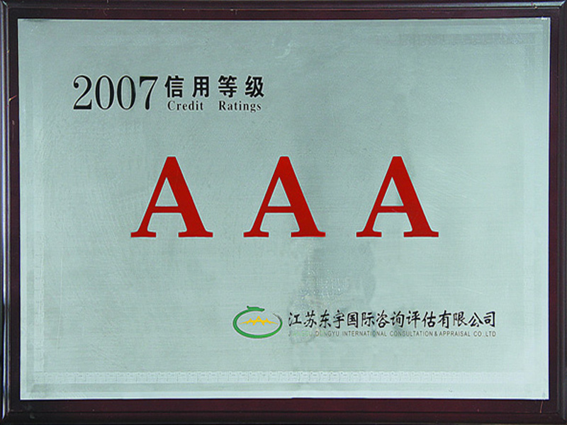 2007 credit rating certificate