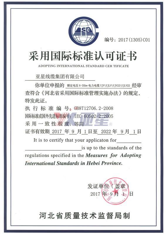 国际标准认可证书