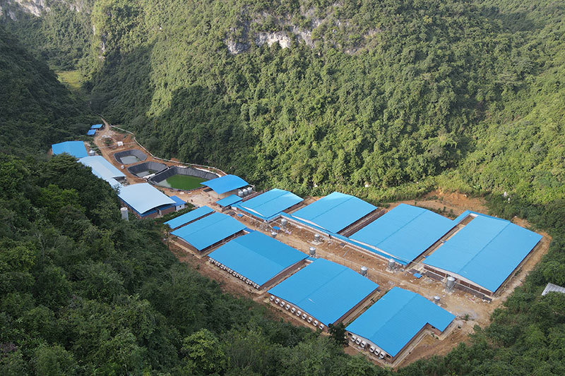 龙州猪场航拍图 龙州猪场航拍图