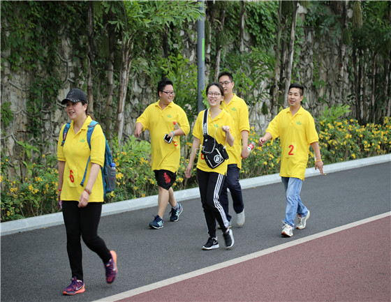 2017年集团公司关于开展健步走活动的通知