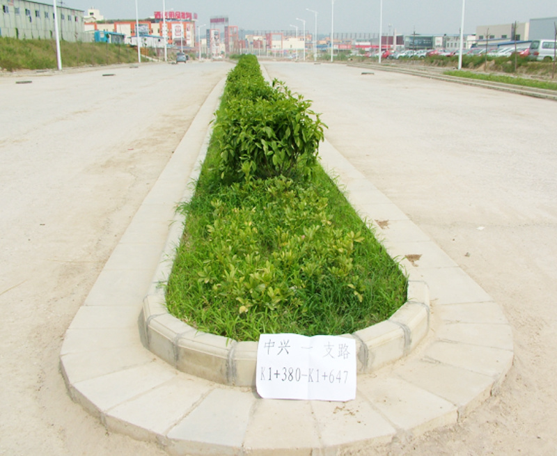 2015年“邕城杯”南宁市东沟岭中兴一支路工程