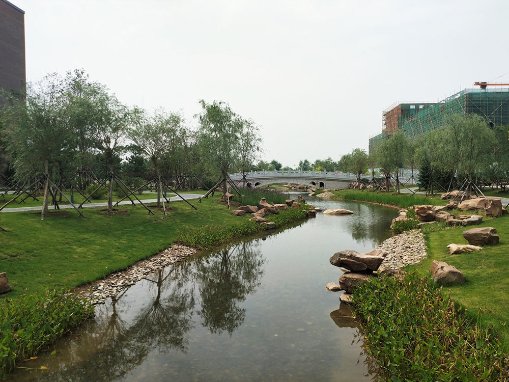 東北大學渾南校區整治工程