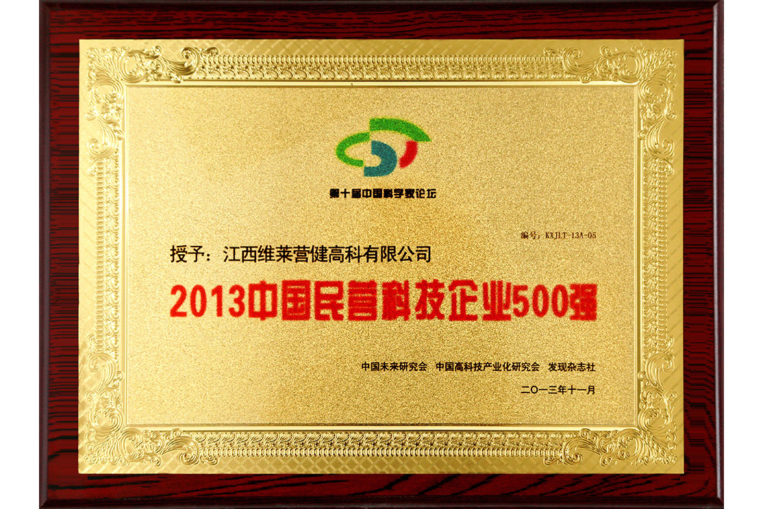 2013中国民营科技企业500强