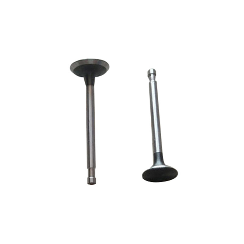 Input/Exhaust Valve