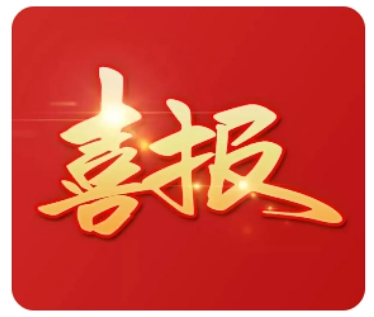 领盛科技再添专利，打造行业新标杆!