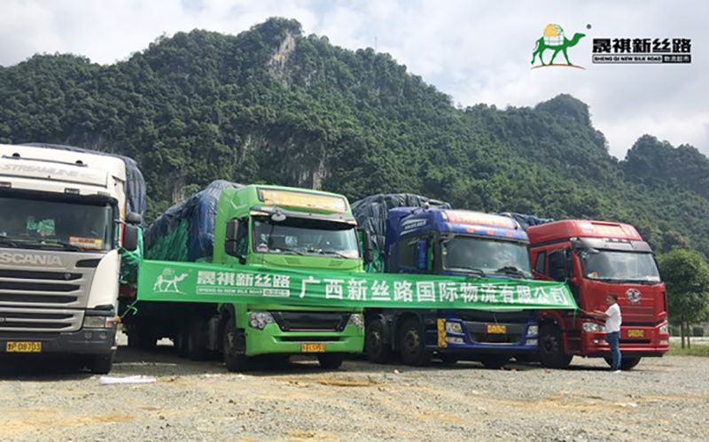 Sheng qi new silk road thực tế hoạt động nhóm hình 201811