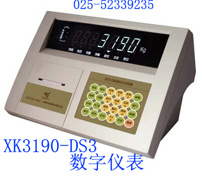 数字式汽车衡仪表XK3190D-DS3