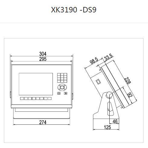 XK3190-DS9数字式仪表