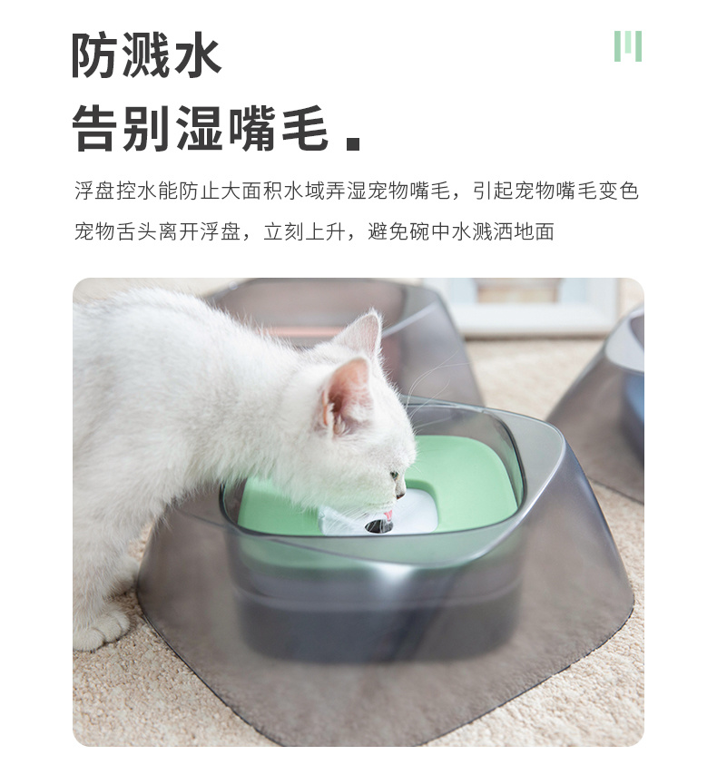 宙斯宠物