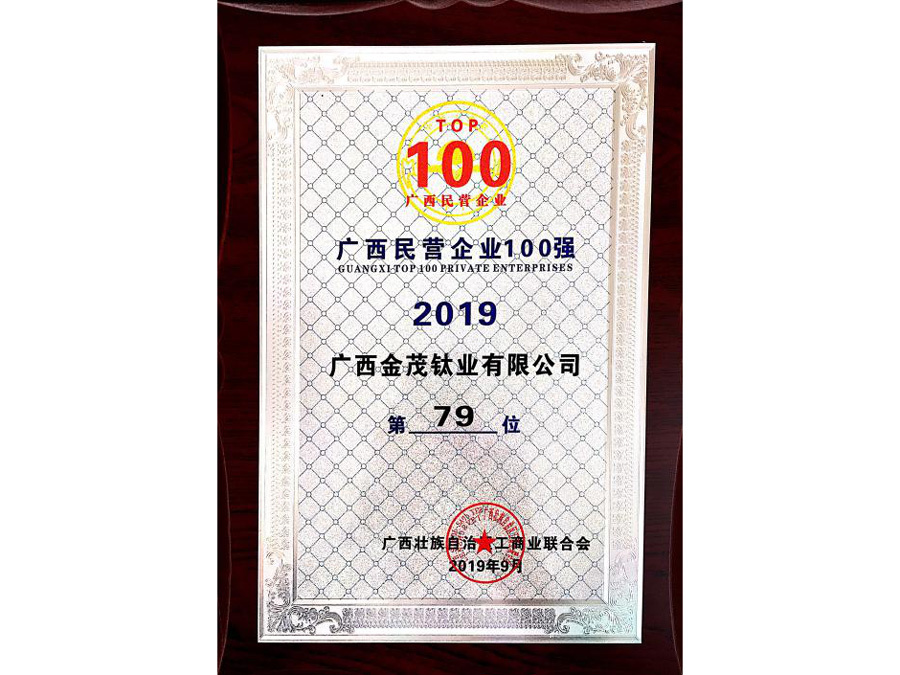 2019年廣西民營企業100強標識獎牌