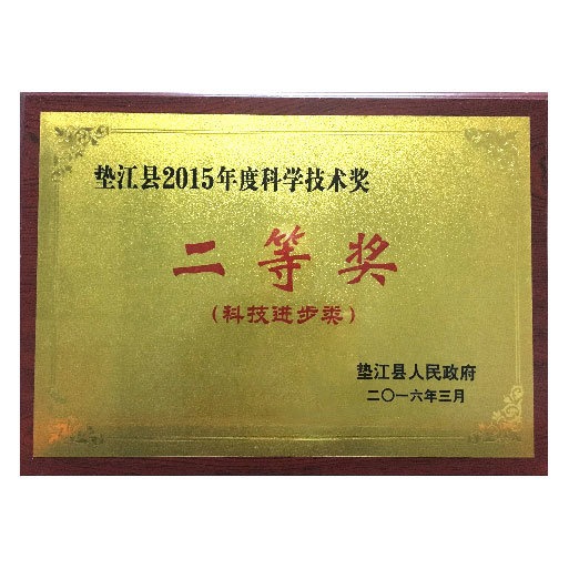 Second award