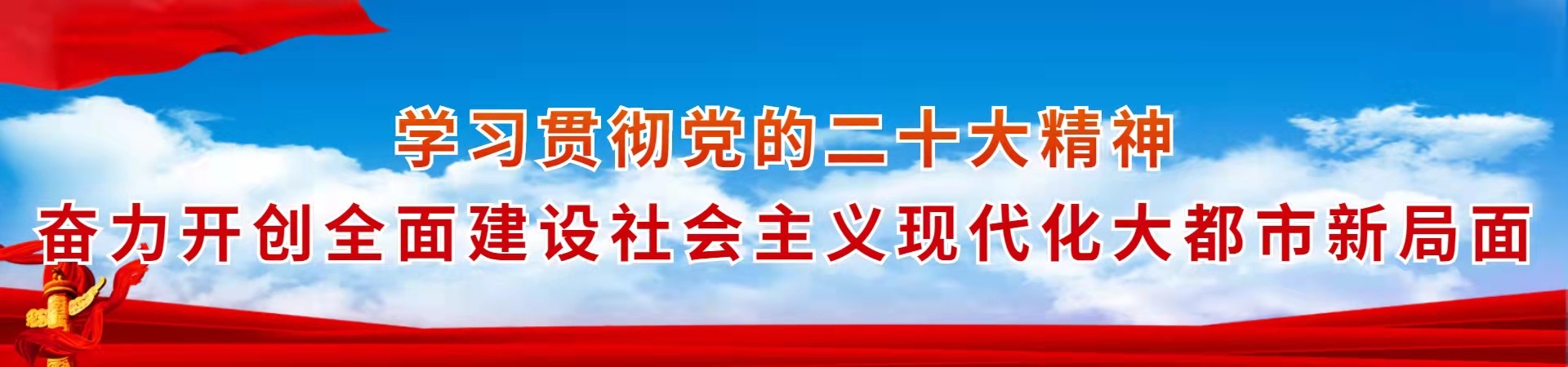 学习贯彻党的二十大精神