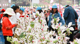 六顺第一届“白花节”普洱森泉-用水