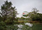 中央廣播電視總臺與國家文物局聯合推出文物“潮”我看大型融媒活動 文化和自然遺產日開幕