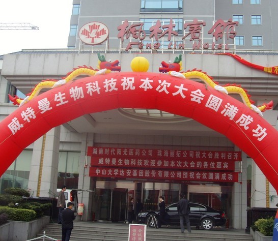 东软威特