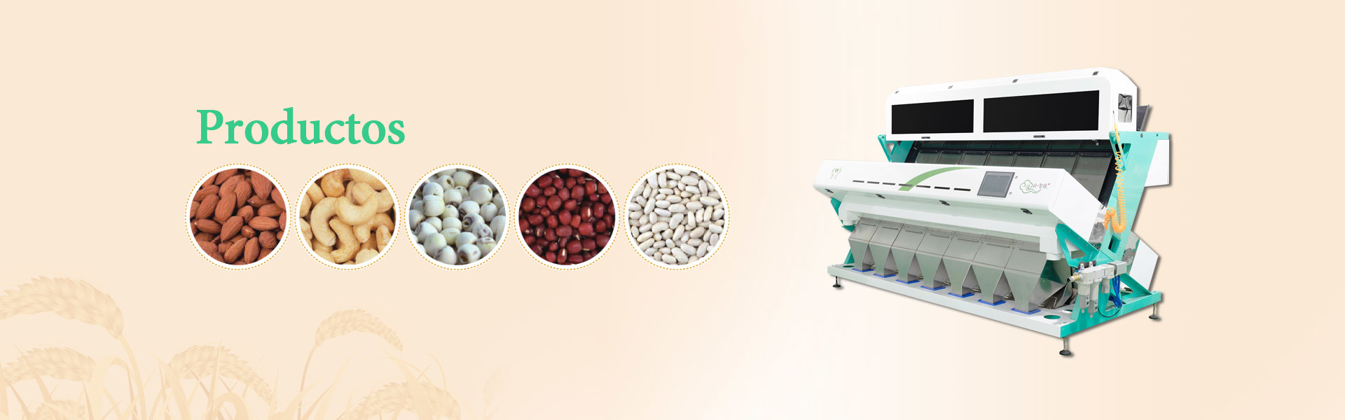 Productos Productos