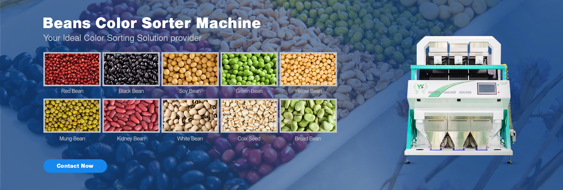 Beans color sorter Beans color sorter