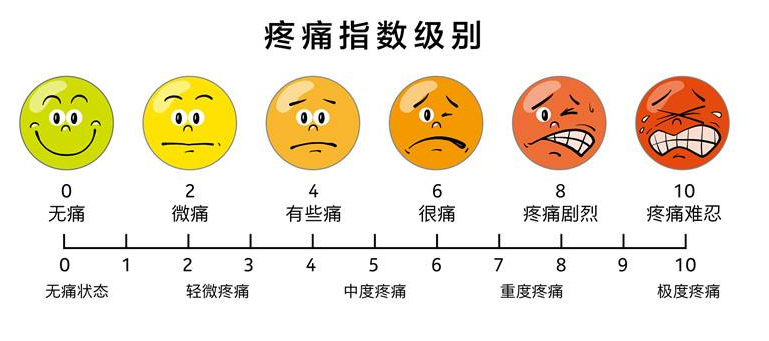 疼痛健康教育处方