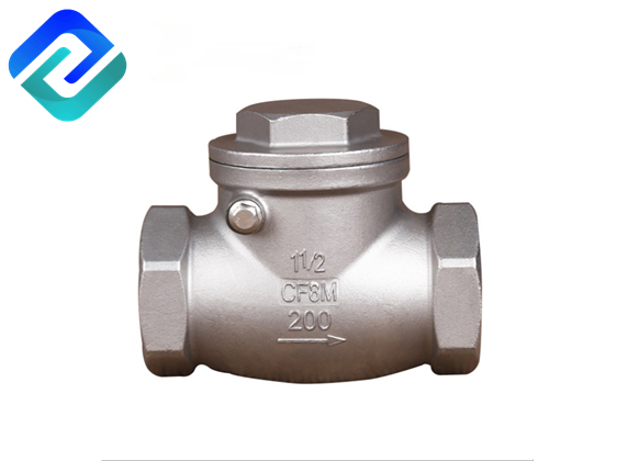 Two Way PN16 Stainless Steel 316 Non-Return Swing Check Valve