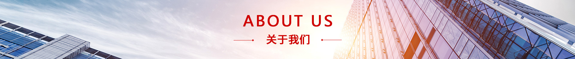 公司介绍