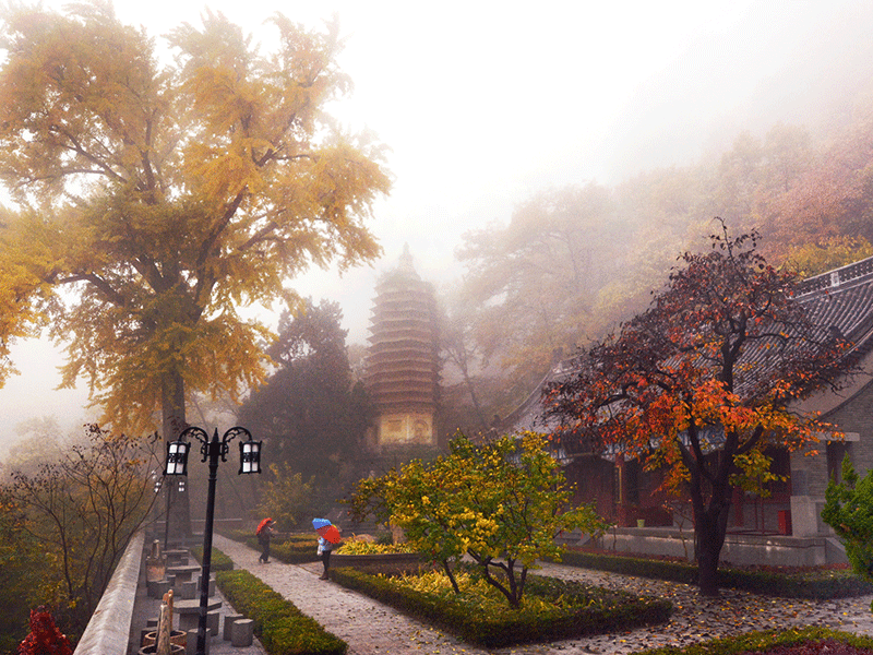 Mist Tiancheng Temple by Liu Guanghui
