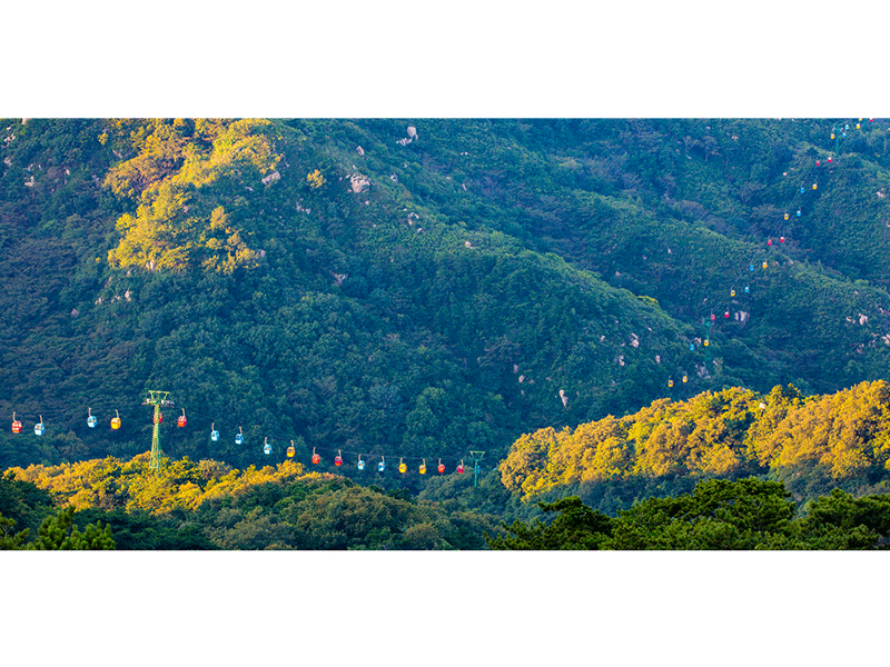 Jin Chaorong: A Journey Around the Mountain