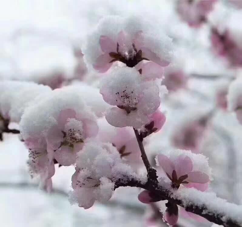 河盐集团成功举办新年职工摄影大赛