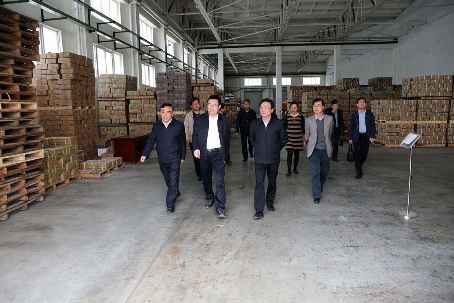 省社主任丁荣进到我公司调研视察