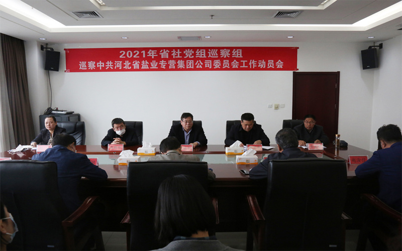 中共河北省盐业专营集团公司委员会关于巡察整改进展情况的通报