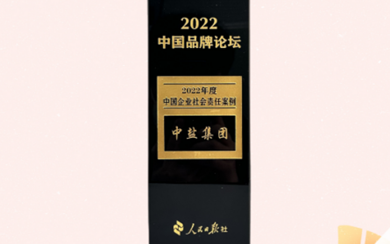 中盐集团入选2022年度中国品牌论坛 “中国企业社会责任案例”