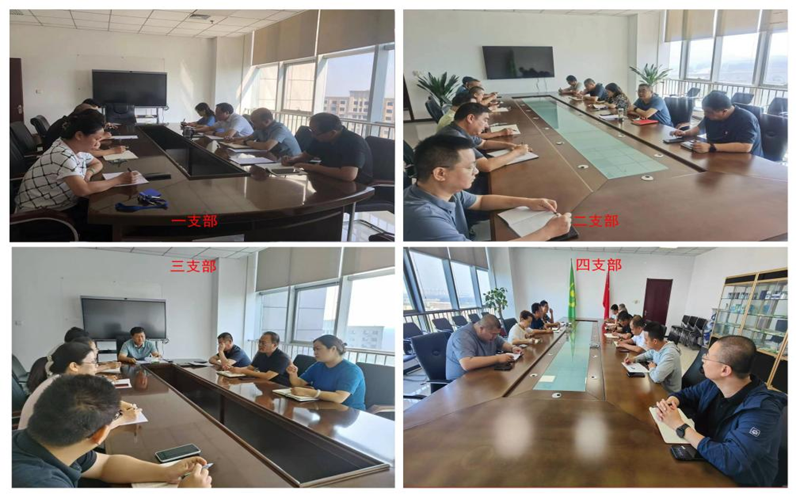 公司各支部认真学习贯彻党的二十届三中全会精神 公司各支部认真学习贯彻党的二十届三中全会精神
